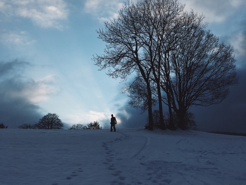 silhouette, snow, winter, tree, sky