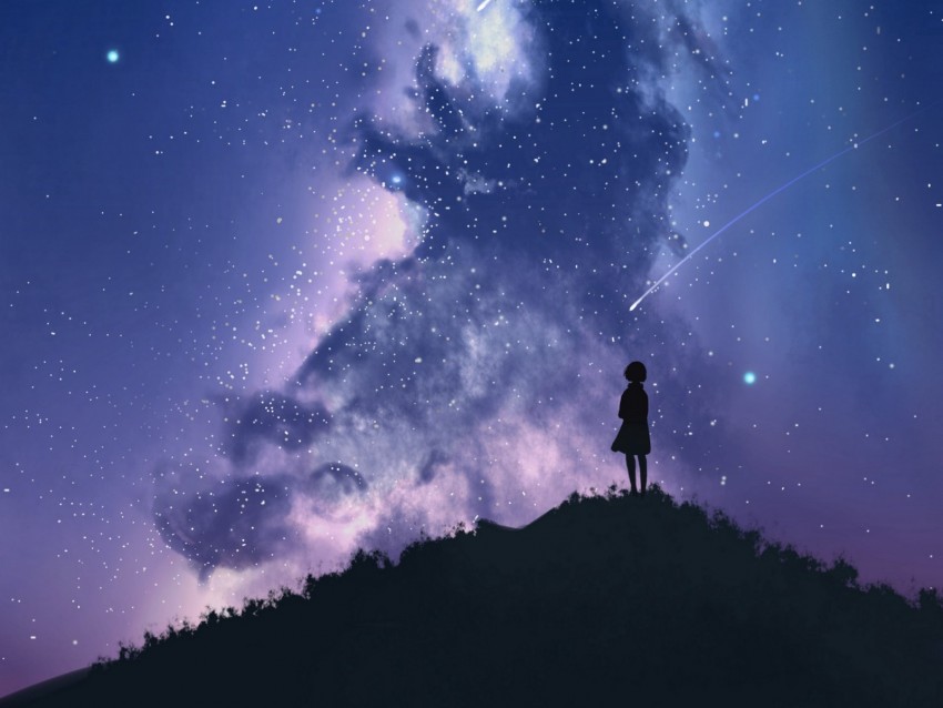 silhouette, starry sky, milky way, art