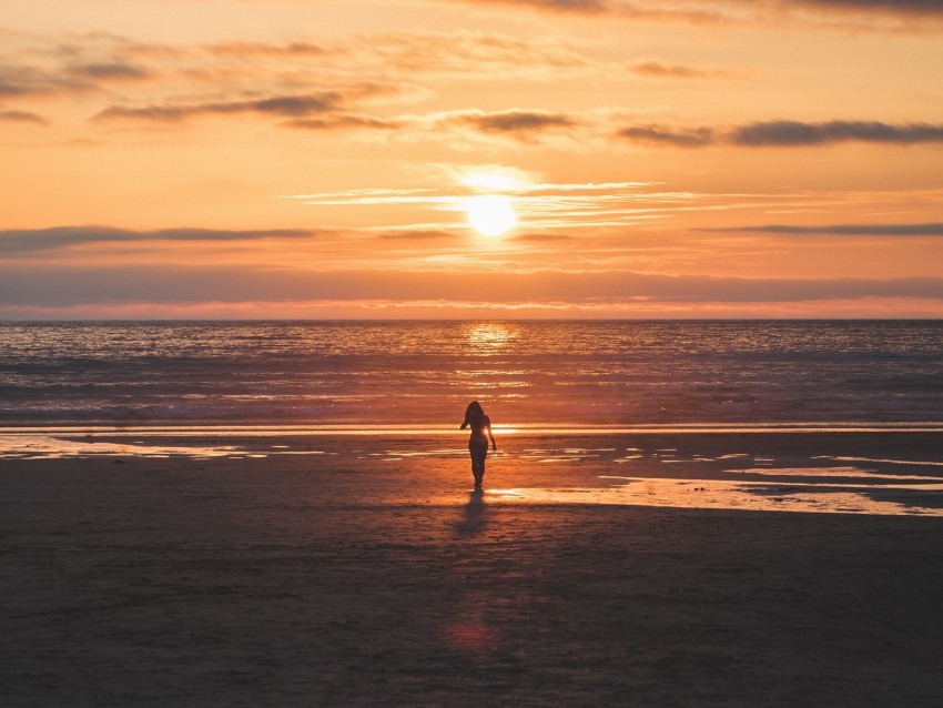 silhouette, sunset, sea, coast, horizon, lonely