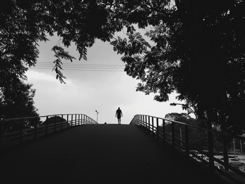 silhouette, trees, bw, walk, lonely, loneliness