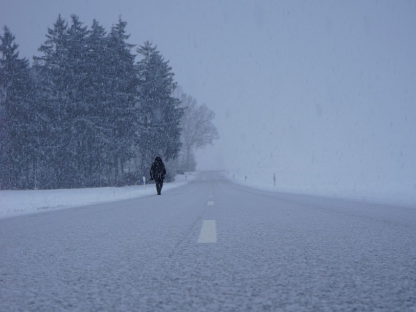 silhouette, winter, fog, snowstorm, snowfall, road