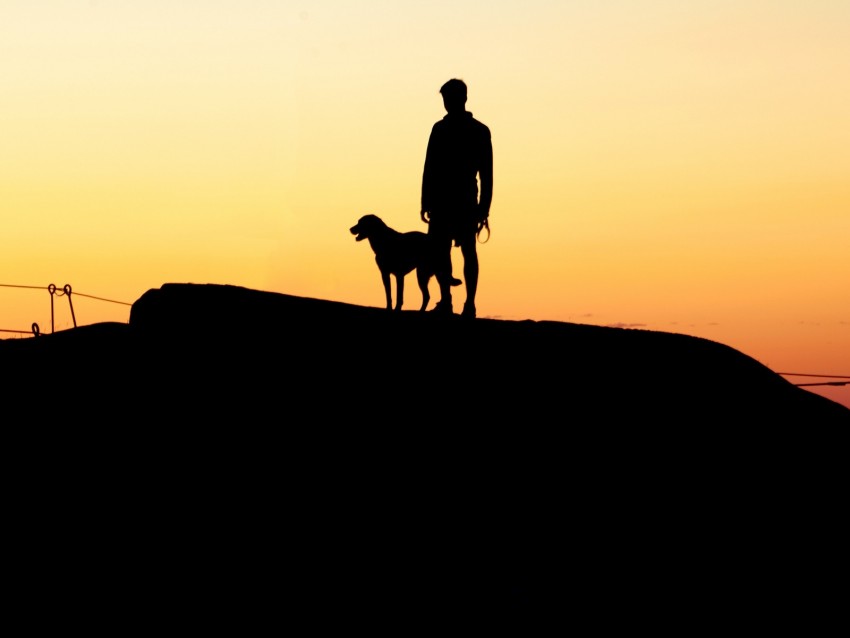 silhouettes, man, dog, sunset, hill