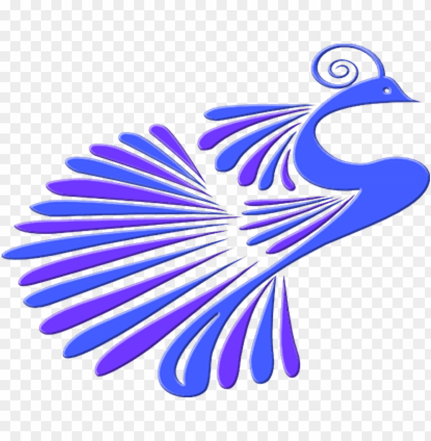 peacock, peacock feather, mouse animal, phoenix bird, twitter bird logo, big bird