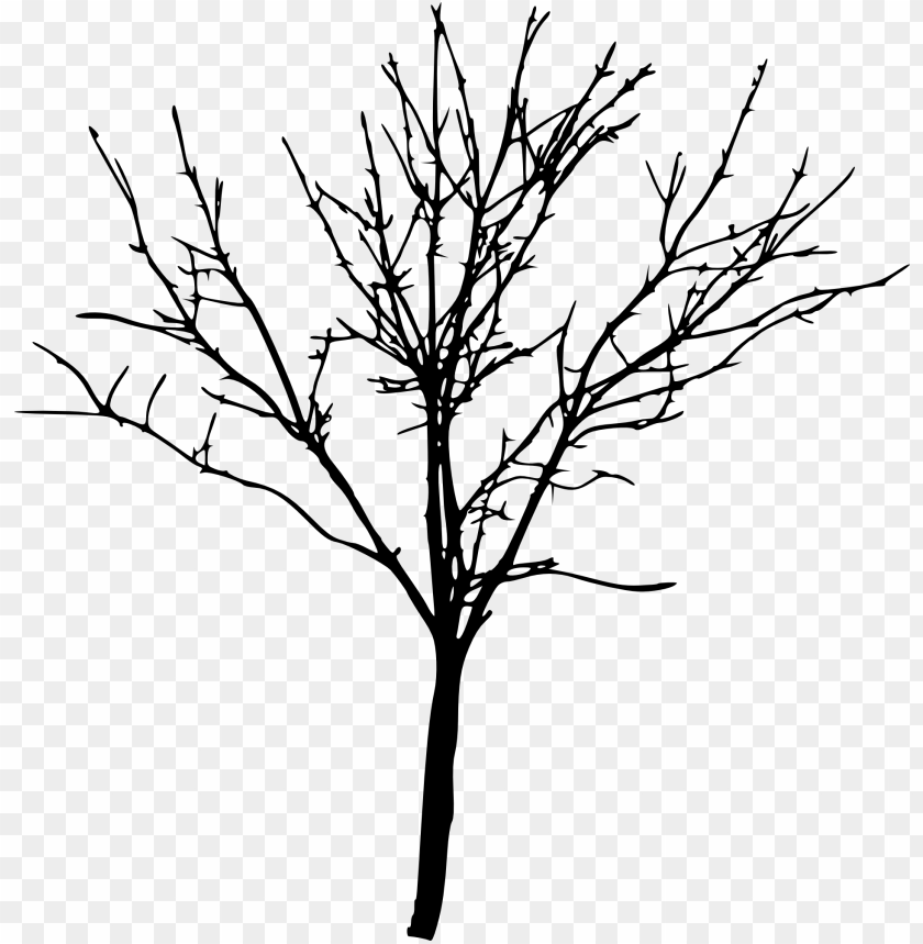 simple leafless tree outline