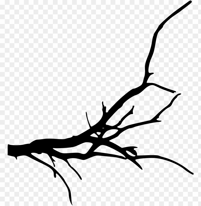 Transparent simple tree branch PNG Image - ID 4203
