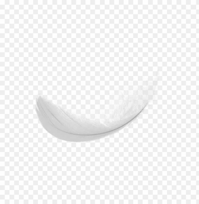 simple, white, feaher, png