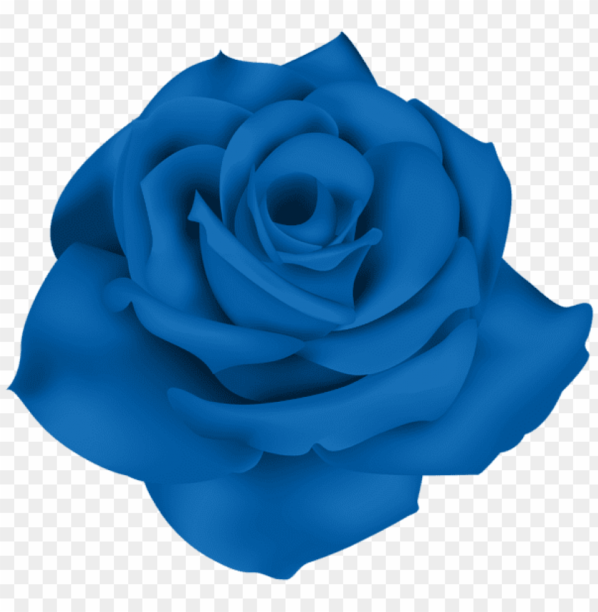 PNG image of single blue rose with a clear background - Image ID 44225