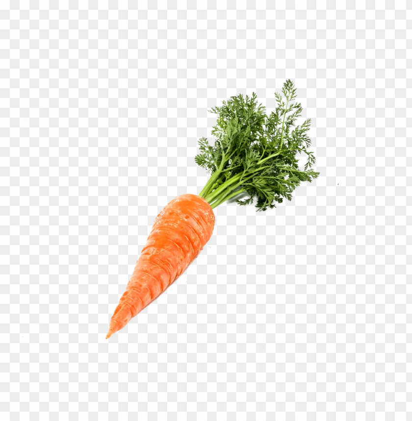 
carrot
, 
one
, 
single
, 
vegetables
, 
fresh
, 
deliciouse
, 
food
