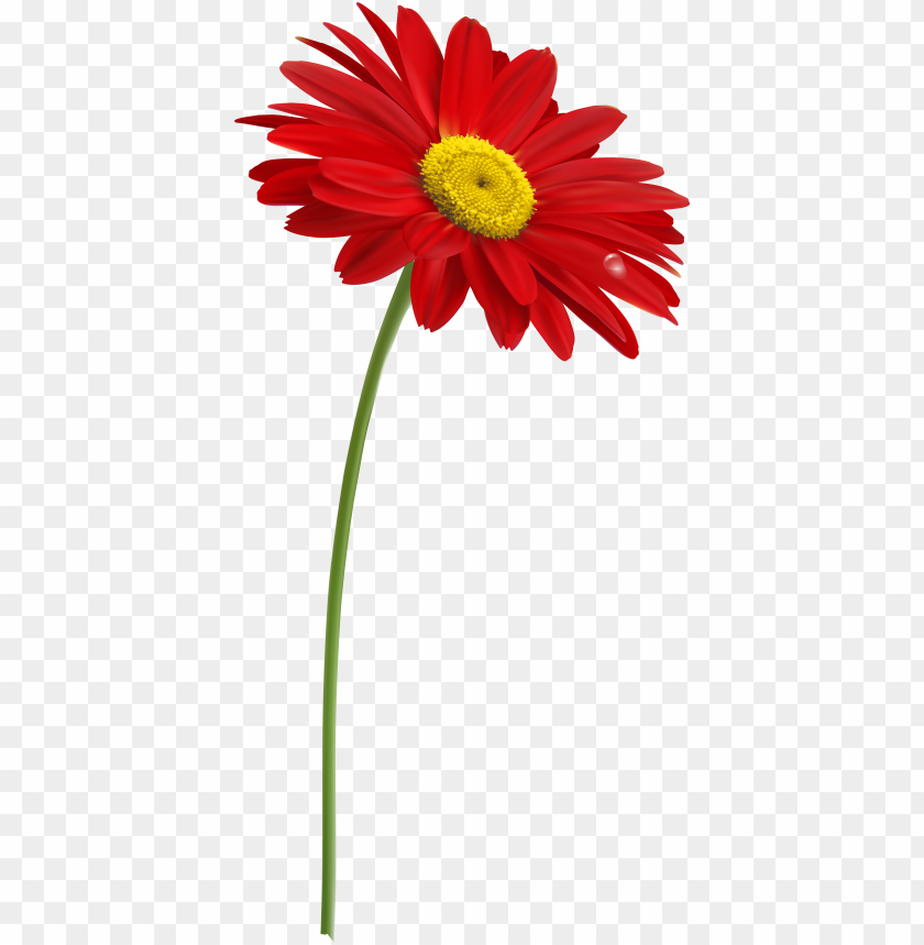 Single Flower Png Deals Cheap | www.pinnaxis.com