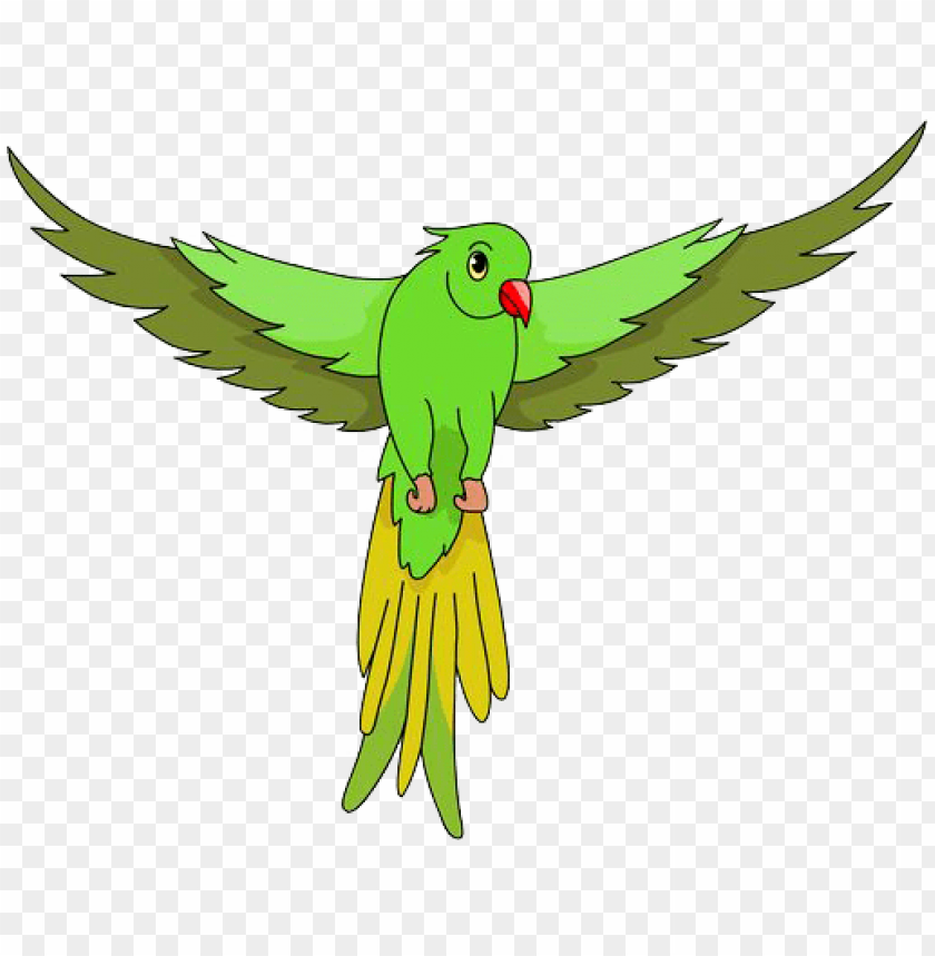 Bird Parrot, Drawing, Cartoon, Macaw, Beak, Parakeet, Budgie, Lovebird  transparent background PNG clipart | HiClipart