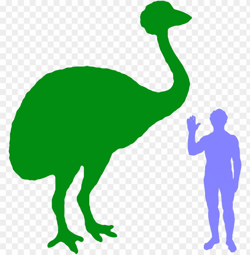 phoenix bird, twitter bird logo, elephant, big bird, bird wings, flappy bird pipe