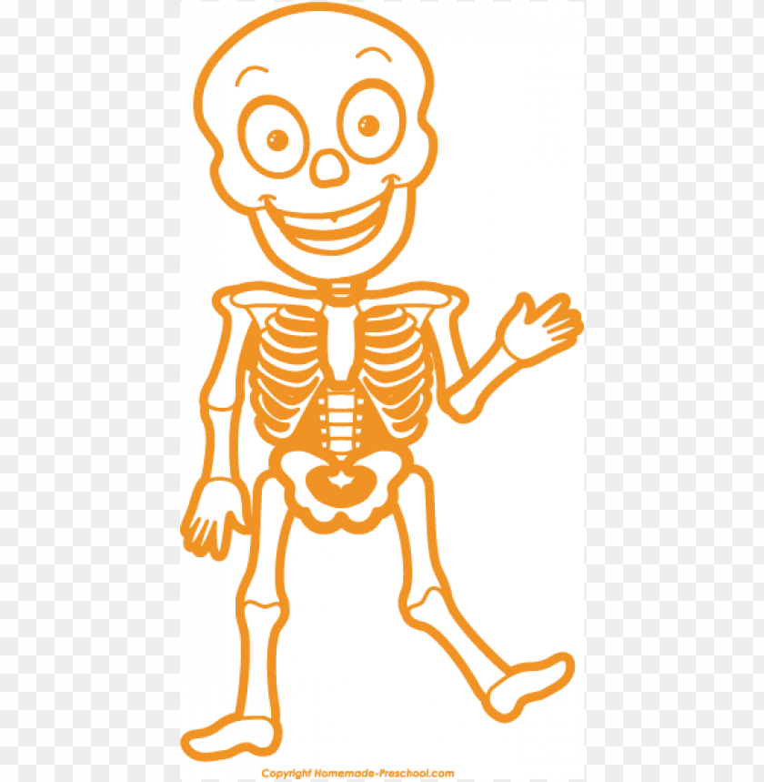 skeleton, free, halloween