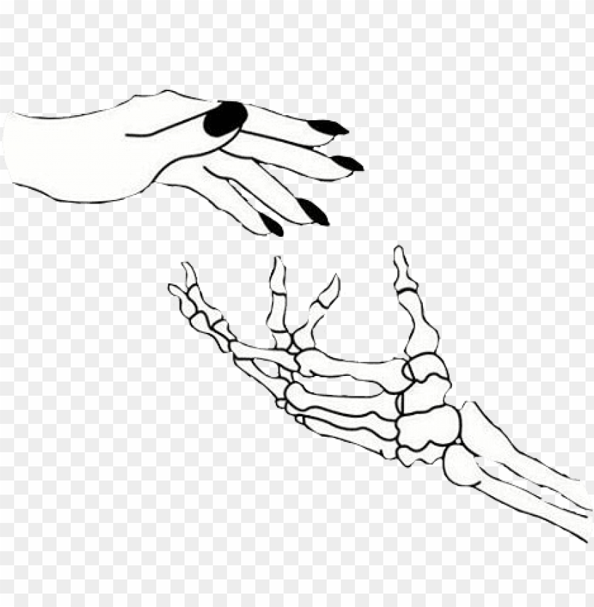 skeleton hands reaching up PNG image with transparent background.
