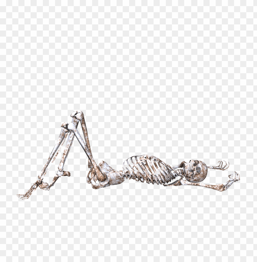 people, skulls and skeletons, skeleton lying on back, 