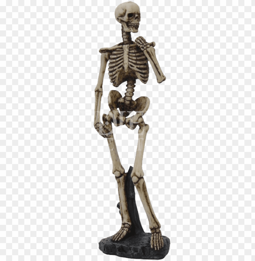 skeleton, holiday, dead, david, death, jewish, bones
