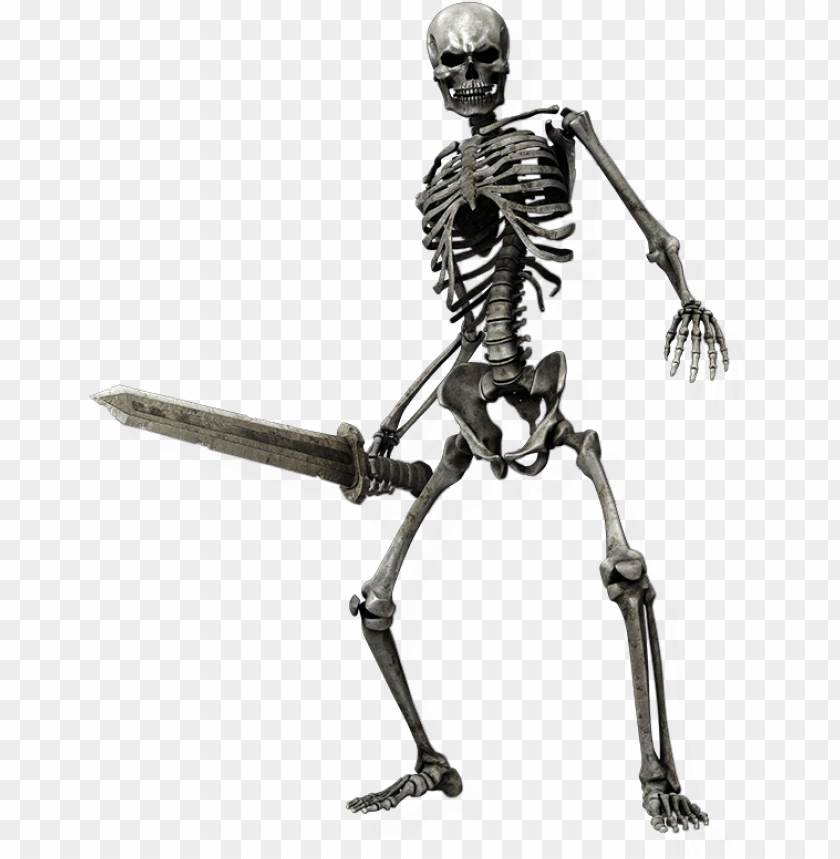 free PNG skeleton pachinko - skeleton castlevania PNG image with transparent background PNG images transparent