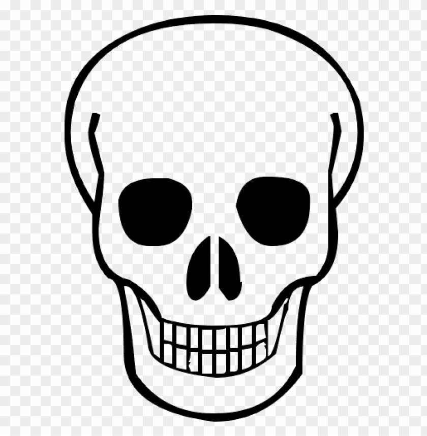 Download Skeleton Skull Clipart Png Photo Toppng