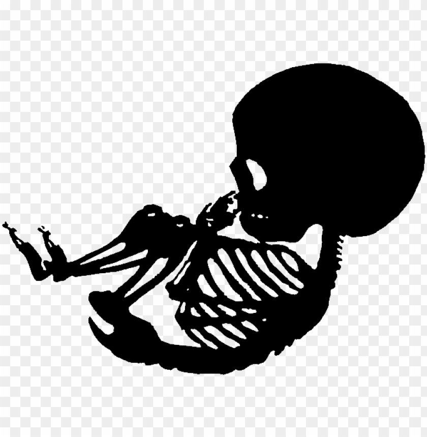 Download Skeleton Transparent Baby Baby Skeleton Stencil Png Image With Transparent Background Toppng