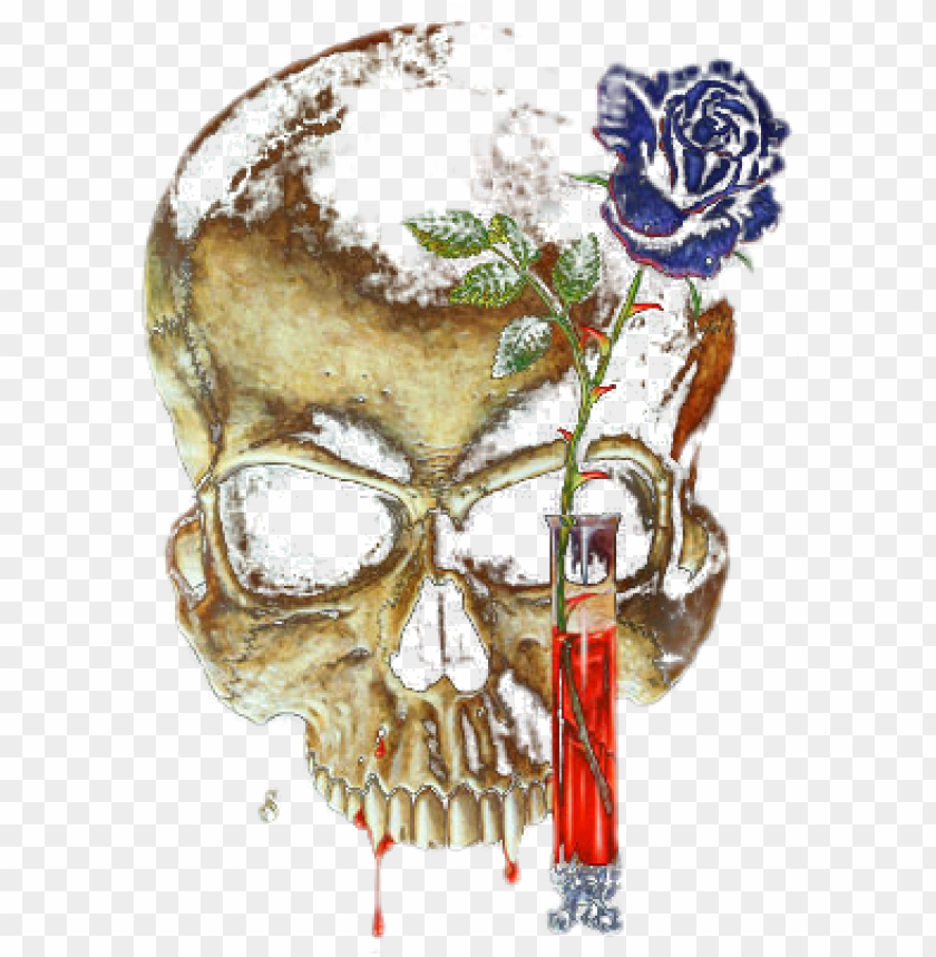 skeleton, pirate, skull silhouettes, skulls, dead, gun, skull silhouette
