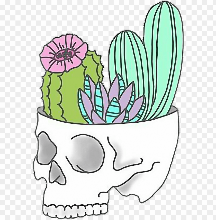 free PNG skull cactus tumblr sticker karla ctm png freetoedit - stickers tumblr png cactus PNG image with transparent background PNG images transparent