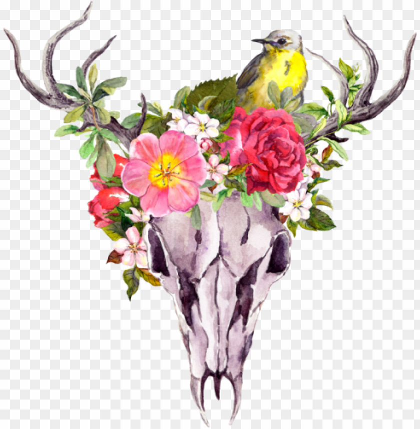 skull silhouette, flower, skull silhouettes, floral, skeleton, roses, halloween