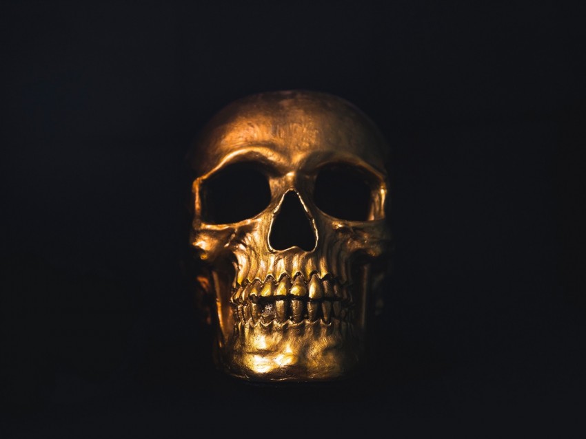 skull, gold, ornament, shine