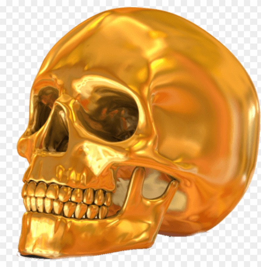 skull silhouette, jewelry, gold, chain, photo, identification, graphic