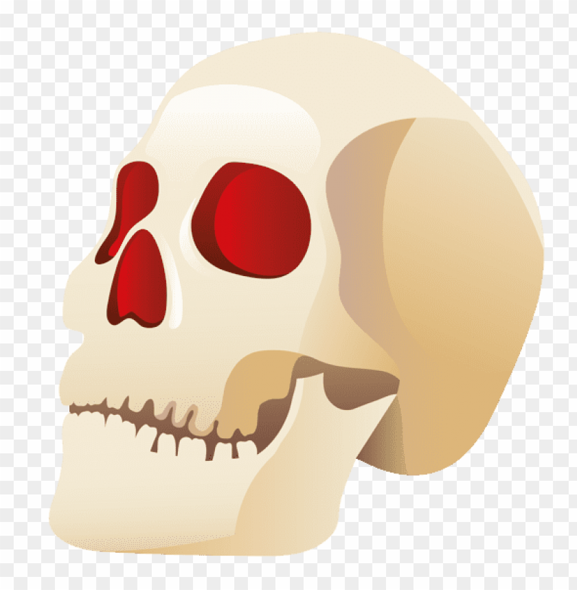 
skull
, 
human skull
, 
skeleton skull
, 
brain holder
, 
clipart
, 
head
, 
grunge

