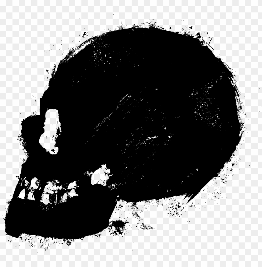 
skull
, 
human skull
, 
skeleton skull
, 
brain holder
, 
clipart
, 
head
