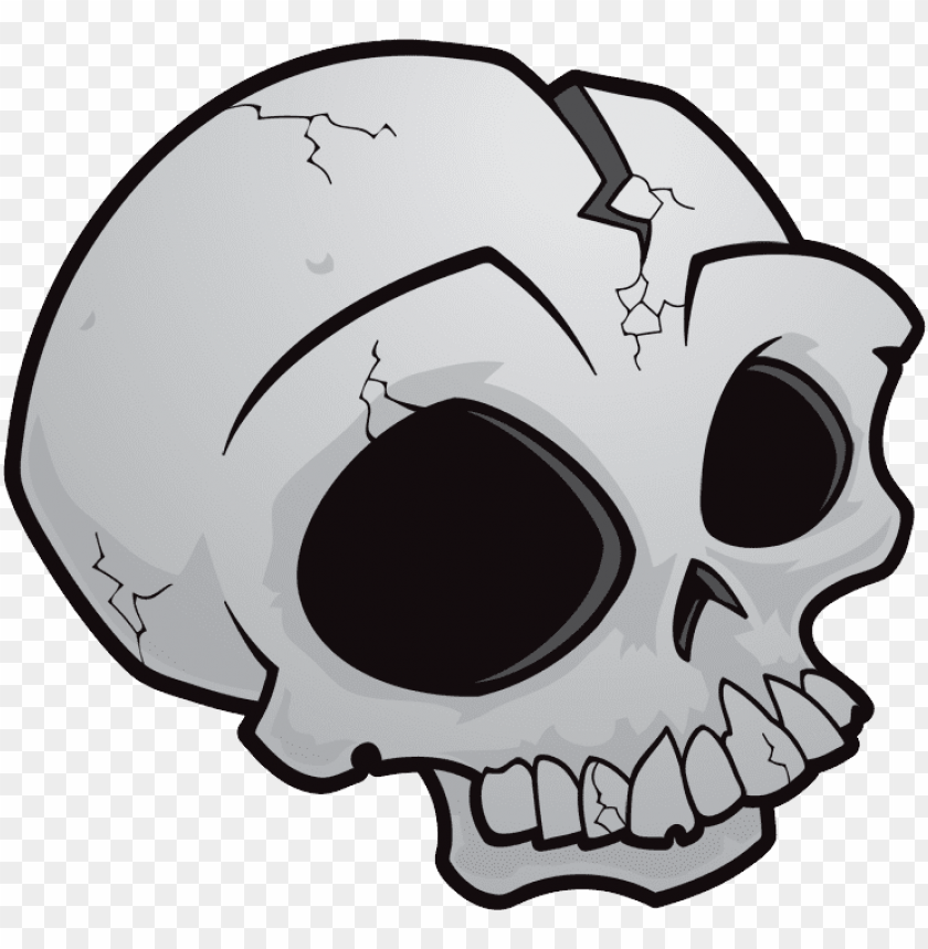 
skull
, 
human skull
, 
skeleton skull
, 
brain holder
, 
clipart
