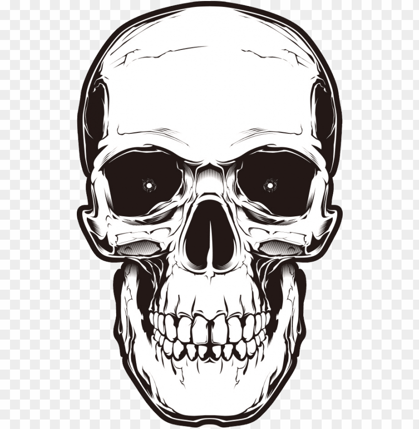 
skull
, 
human skull
, 
skeleton skull
, 
brain holder
, 
clipart
