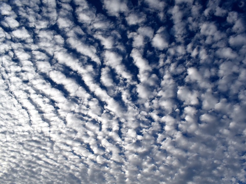 Download Sky Clouds Curly White Summer Background Toppng