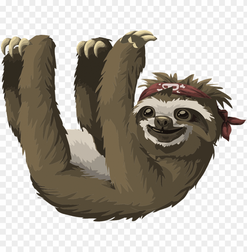 Download Sloth Hanging Png Images Background Toppng - shoulder sloth roblox