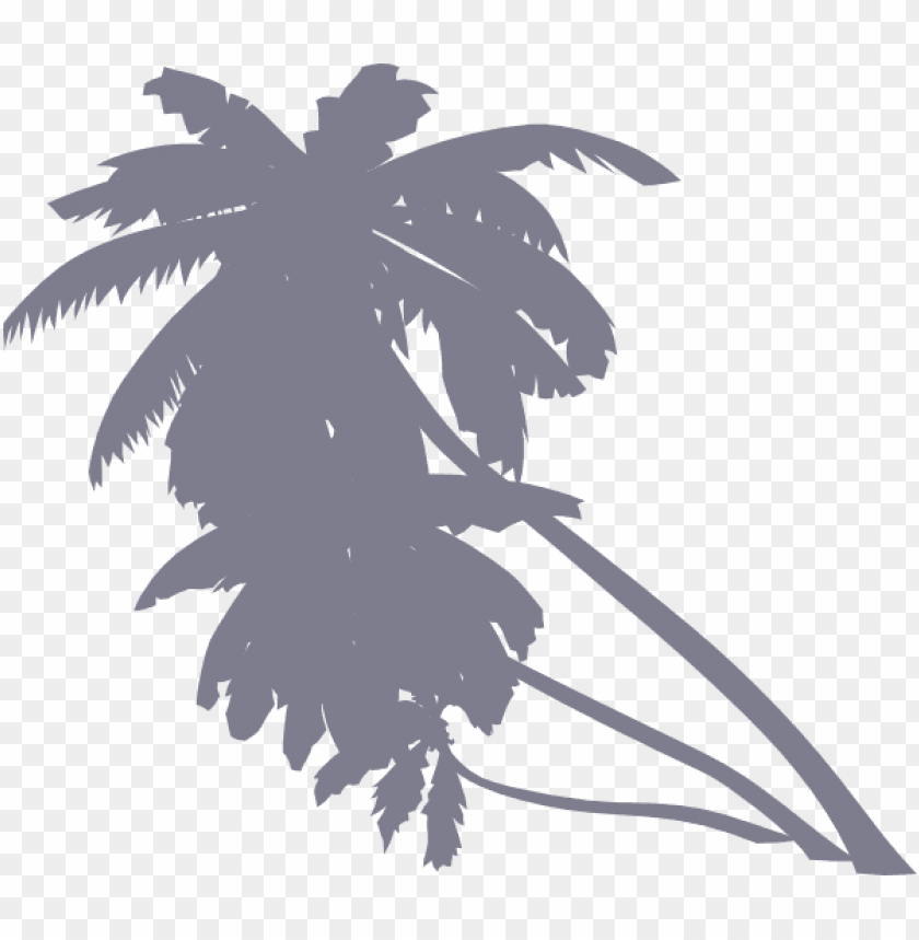 animal, forest, palm tree, plant, background, branch, nature