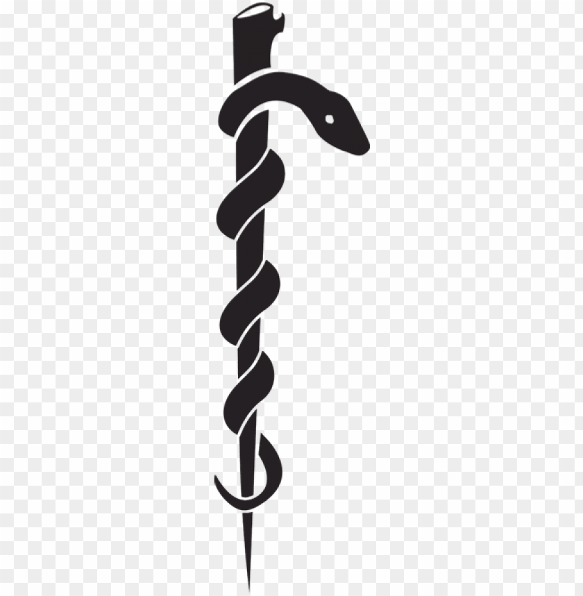 free PNG snake medical symbol images - rod of asclepius vs caduceus of hermes PNG image with transparent background PNG images transparent