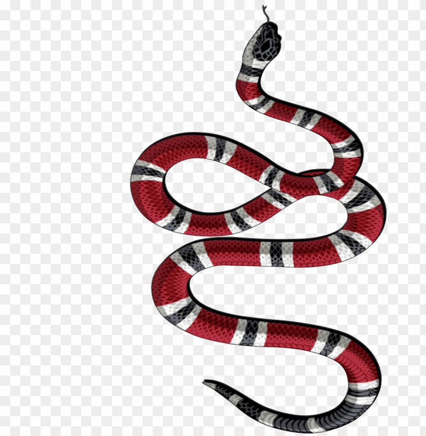 snake tattoo transparent png gucci snake logo transparent PNG image with transparent background | TOPpng