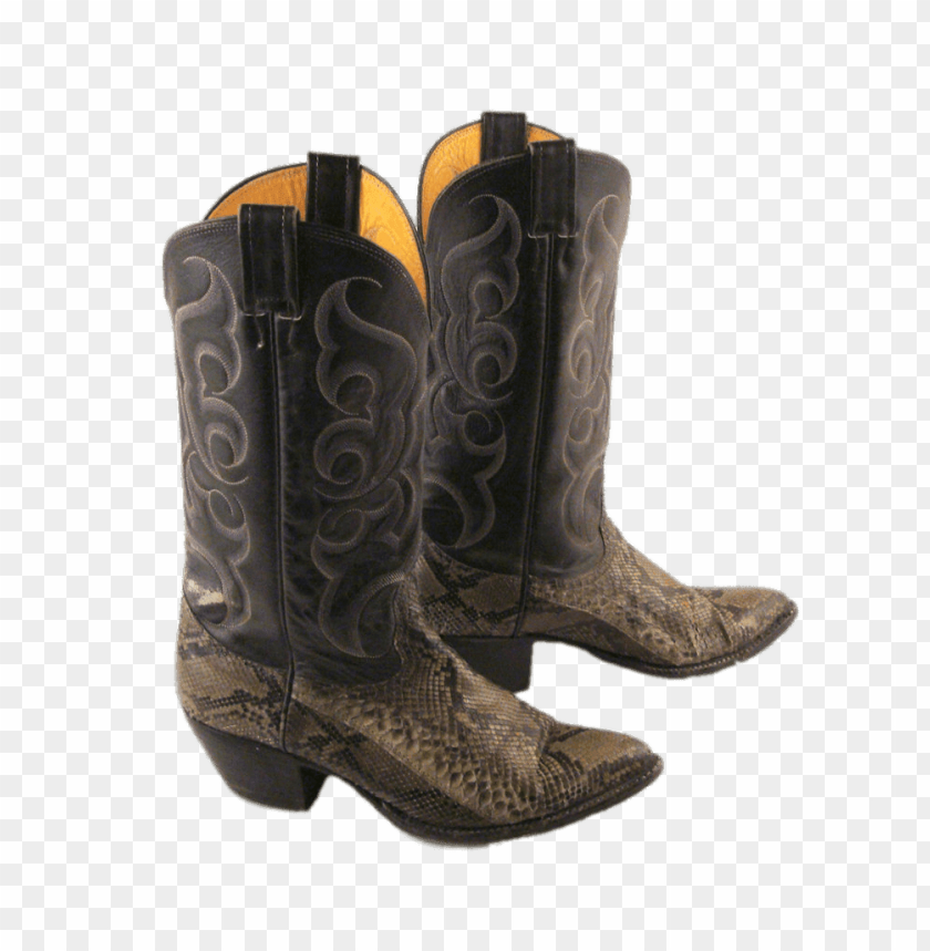 miscellaneous, snakeskin, snakeskin cowboy boots, 