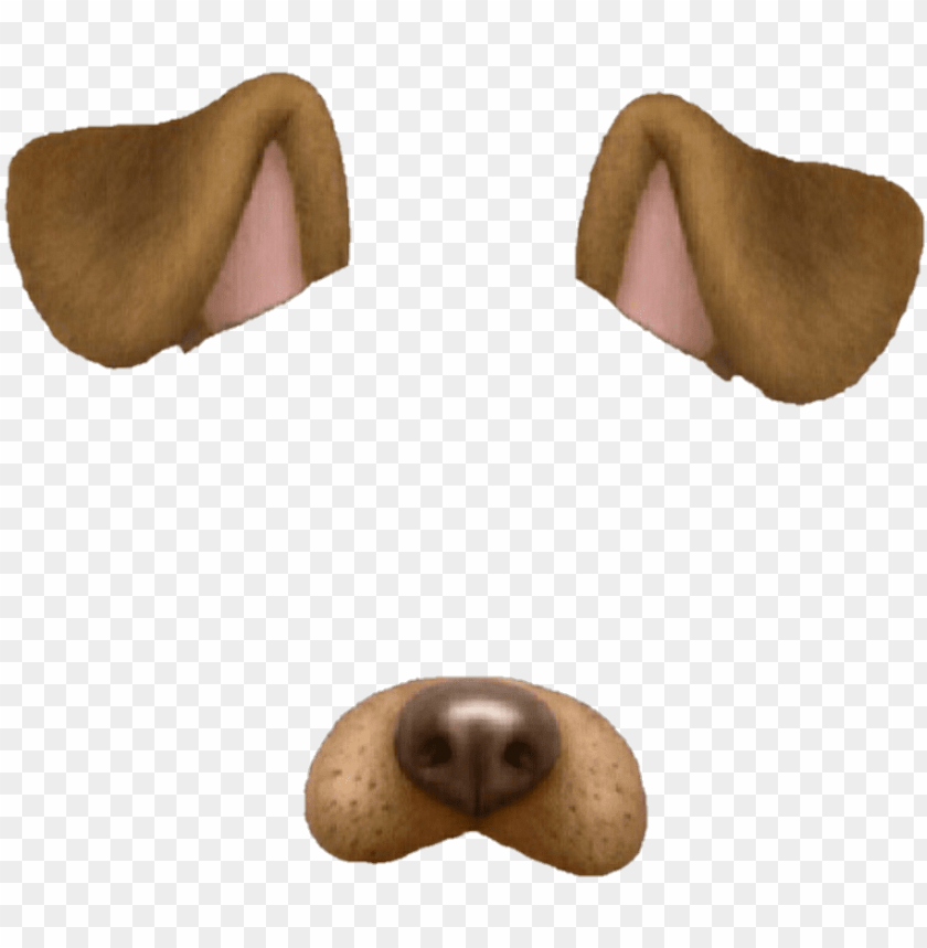 free PNG snapchat tumblr overlay dog perro brown marrón - snapchat dog filter PNG image with transparent background PNG images transparent