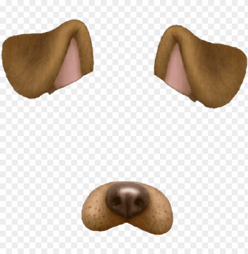 snapchat tumblr overlay dog perro brown marrón snapchat dog filter PNG transparent with Clear Background ID 211682