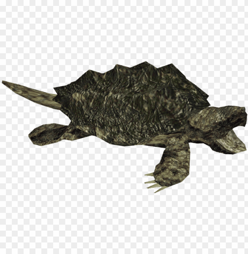turtle, turtle clipart, sea turtle, turtle silhouette, alligator