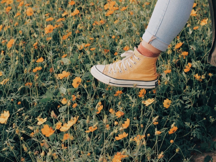sneakers, flowers, walk, summer