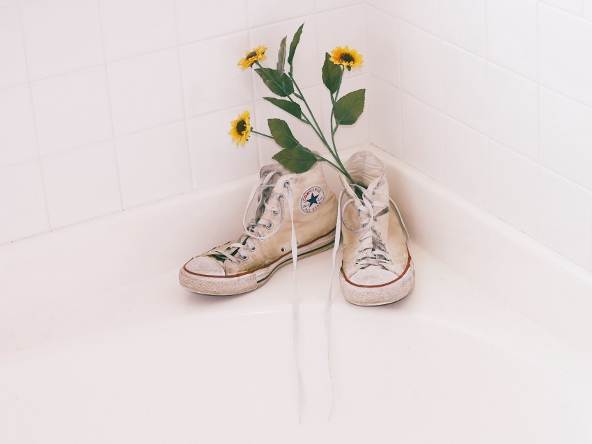 sneakers, shoes, flowers, bouquet, bright, white