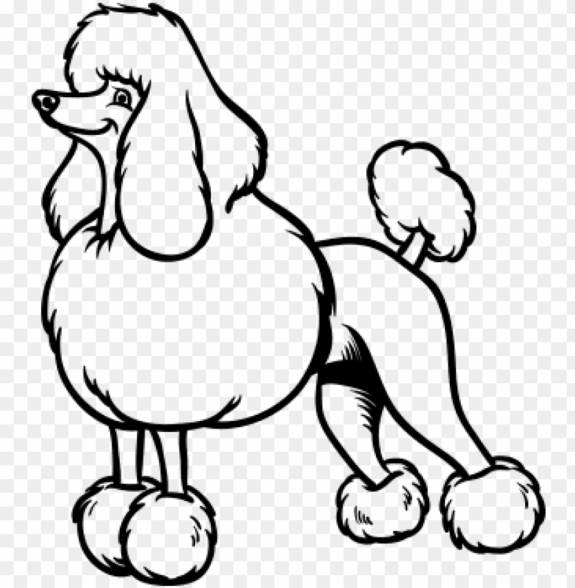 Snooty Poodle Coloring Page - Perro Caniche Para Colorear PNG Transparent With Clear Background ID 221913