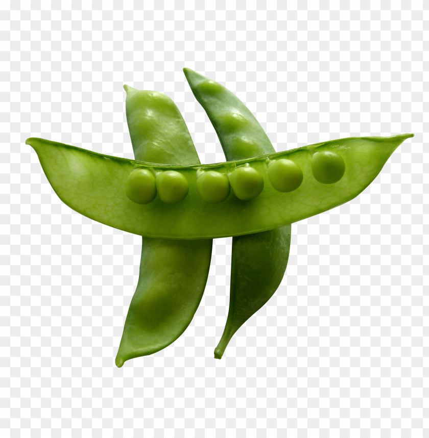 snow peas PNG images with transparent backgrounds - Image ID 11946