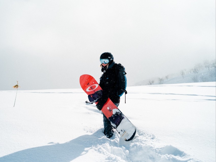 snowboard, girl, snow, snowboarder, board, sports equipment, winter