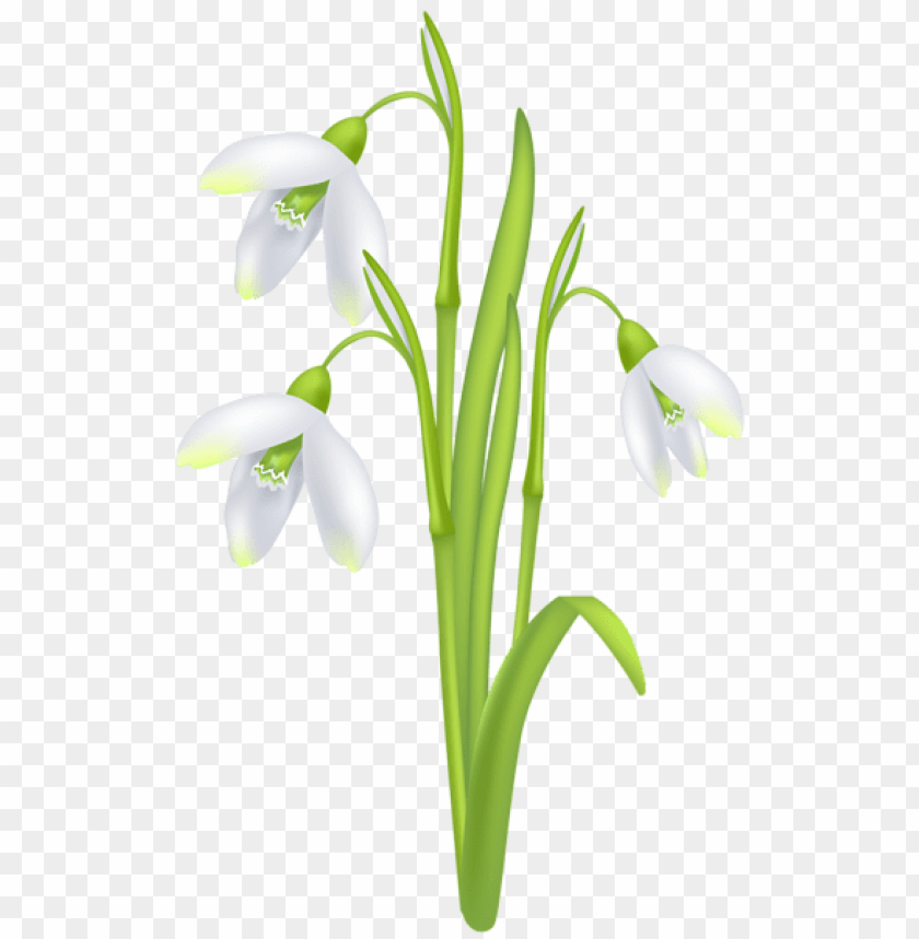 Free Free Snowdrop Svg 759 SVG PNG EPS DXF File