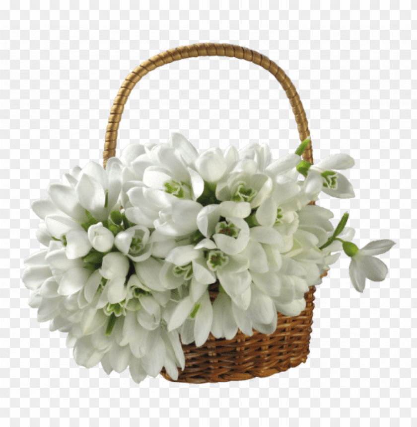 snowdrops basket bouquet transparent