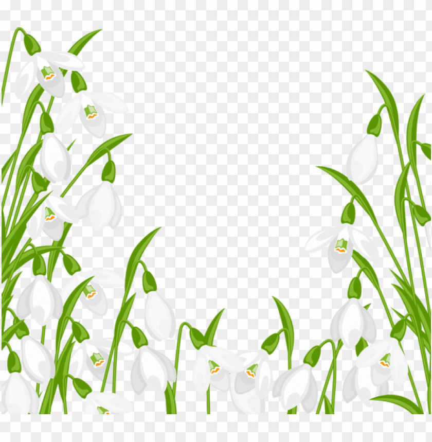 flowers png, spring png, flower png