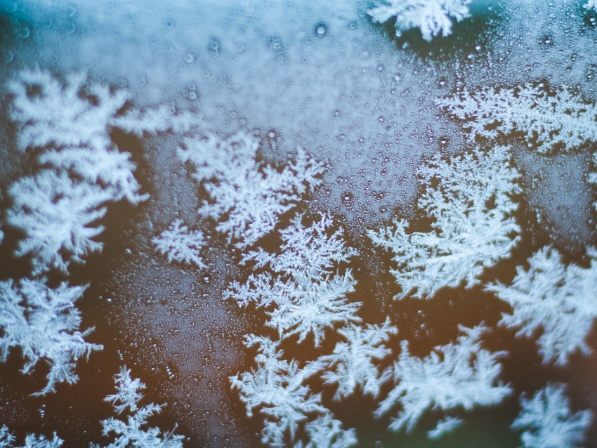 snowflakes, ice, macro, glass