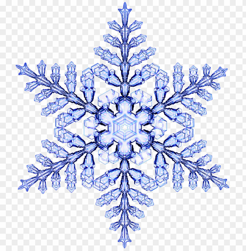 christmas, luxury, snowflakes, lamp, flowers, chandelier, snow flakes